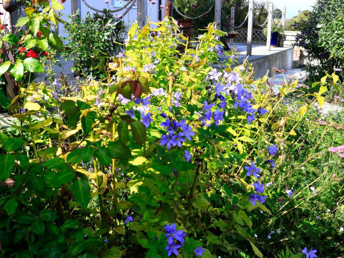 Hilltop House Vila Filey Exterior foto